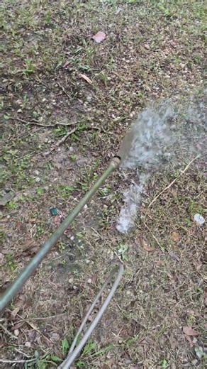 how to get rid of the fleas on your yard.