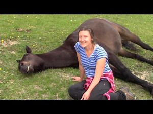 Horses and People Sharing and Healing at an Equinisity Retreat