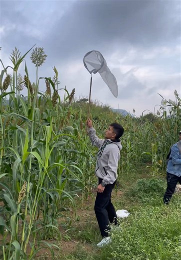 A DevCom Student's Farm Day in Benguet