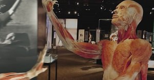 Body Worlds & The Cycle of Life