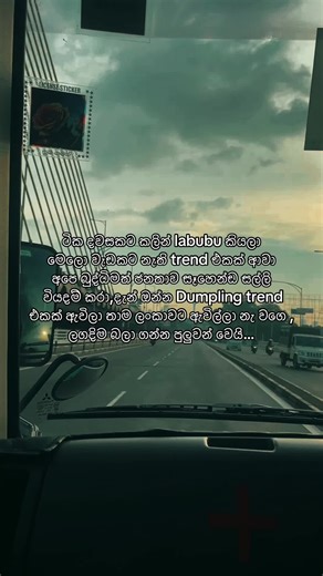 Understanding the Dumpling Trend: What You Need to Know