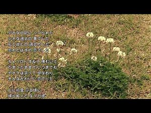 2024-5-21 小さな日記／フォー・セインツ