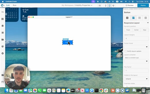 LiveCode Create Visibility Properties