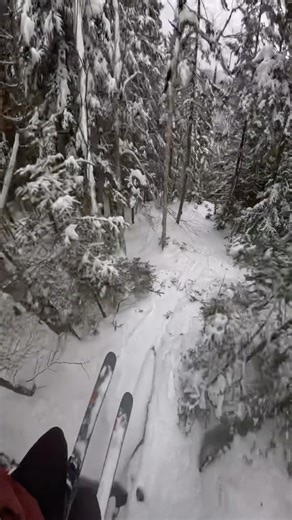 James Gibbs on Instagram: "December 13th- Loon Mtn - Glade season is officially here #ski #winter #powderday #skiseason #backcountryskiing #travel #powderskiing #skilife #wintersport #skitheeast #loonmtn #loonmtnparks #newhamshire #glades"