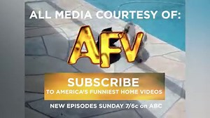 15 Cats Who Aren't Afraid Of Dogs via America's Funniest Home Videos | BuzzFeed Video