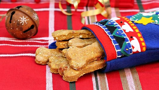 20 Tasty Homemade Christmas Dog Treat Recipes You Must Try