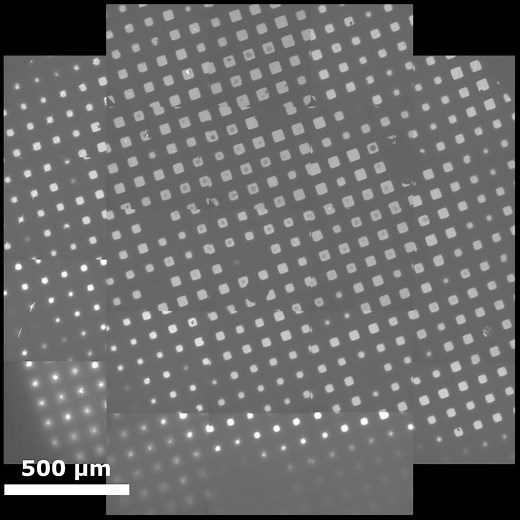 Chapter 4: Cryo-EM Data Collection – Cryo EM 101