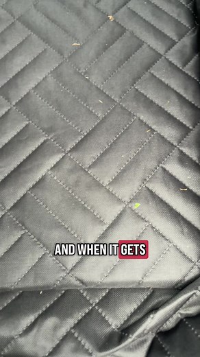 The Secret to Stress-Free Car Rides with Your Dog? It’s the...