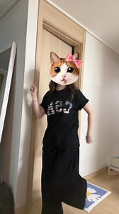 젓가락으로 수박 깨기 시도