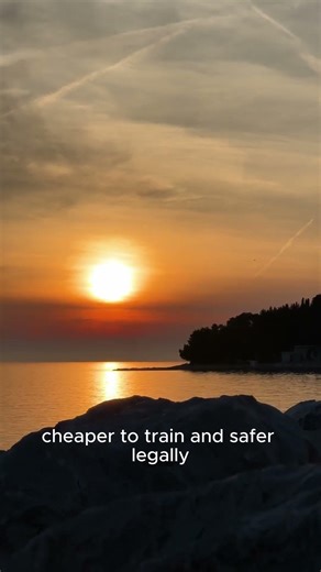 Why customer service scripts sound the same.