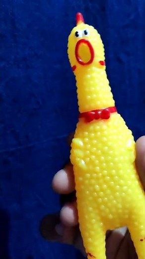 Chicken Squeaky Sound Effect - Pet Dog Toy Sound | Sound Producing Toys Squeeze | Cock Musical Toy