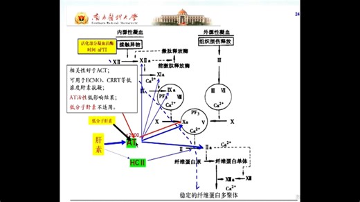 RRT系统性抗凝剂的选择与应用 常平
