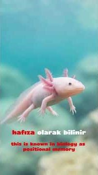 DEADPOOL GERÇEK Mİ ? #history #facts #shorts