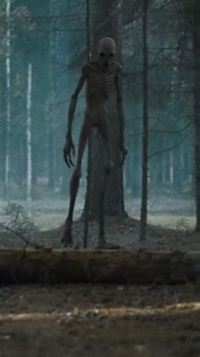 The Rake in the Forest #therake #scary #urbancurse