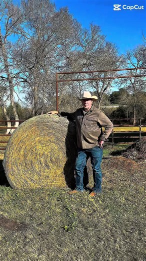 Longhorns. Training. Real ranch life. 🐂🔥 Meet the coach & follow for more. #LonghornLife #CattleContent #RanchTok #FarmTok #fyp let’s
