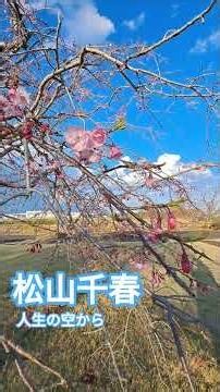Chiharu Matsuyama. Jinsei no Sora Kara #ChiharuMatsuyama #Jinsei no Sora Kara #shorts
