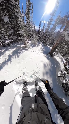 You ever witnessed too much pow? ❄️ credit: mitchsends on ig 🔥 crazy content 👏🏼 #snowboardtok #fyp #skitok #pow