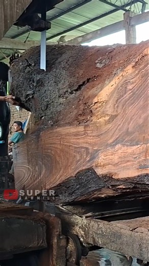 Extreme Wood Cutting: Turning a Massive Irregular Log into Usable Slabs