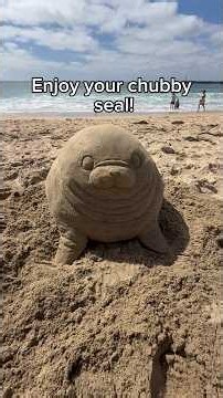 How to make a chubby seal at the beach