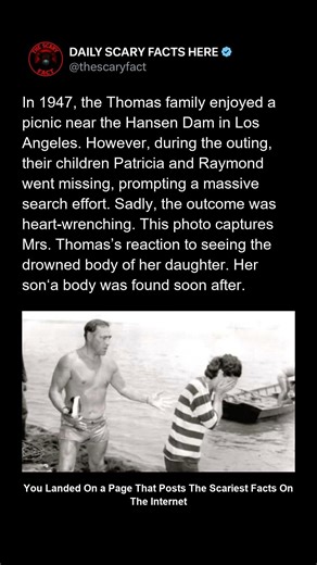 #Shorts | Terrifying real facts for horror fans