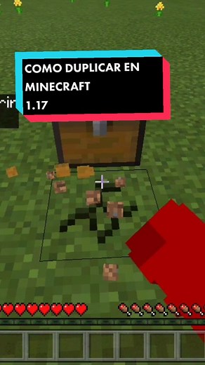 Cómo Duplicar en Minecraft 1.17 en Bedrock