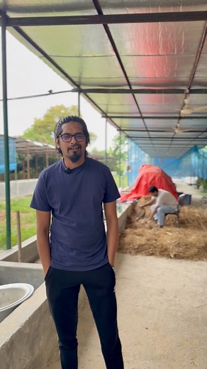 13K views · 360 reactions | খামারে সাইলেজ না থাকার কারনে খর দিয়ে গরুর বিকাল এর খাবার #cattle #agriculture #farming | Angus Agro | Facebook