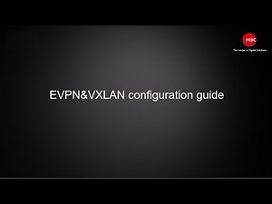 EVPN&VXLAN configuration guide