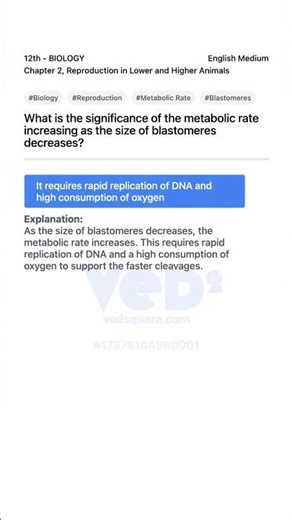 Metabolic Rate and Blastomere Size in Reproduction