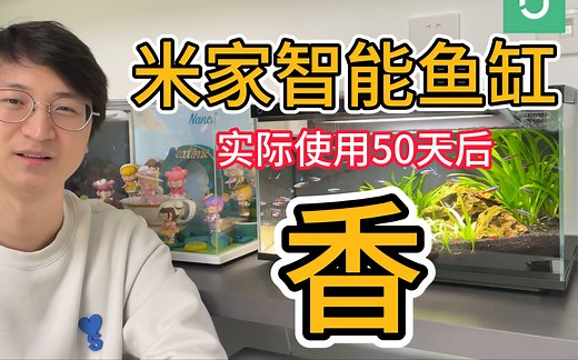 【真实使用】米家智能鱼缸开缸50天后水质清澈｜128只鱼虾螺不翻车