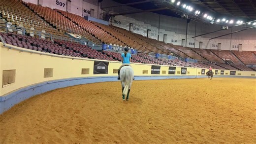 2.6K views · 120 reactions | The 75th National Appaloosa and Youth World Show are officially underway! Have you checked out the grounds? | Appaloosa Horse Club | Facebook