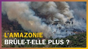 49K views · 228 reactions | Les images de la forêt amazonienne en feu se sont invitées à la une des journaux et sur les réseaux sociaux, accompagnées d'un message alarmant : le poumon de la planète est en danger. Mais y a-t-il vraiment plus de départs de feux qu'avant en Amazonie ? | France Culture | Facebook