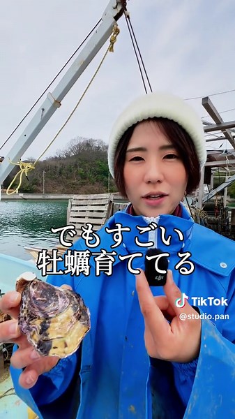 江田島での牡蠣と柿の美味しい発見