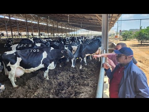 CS LINTURI VISITS A MASSIVE DAIRY FARM IN TEL AVIV, ISRAEL!!