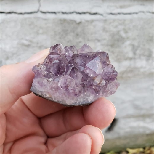 Amethyst Crystal Cluster | Natural Purple Points | Small Sparkling Display Specimen - Etsy