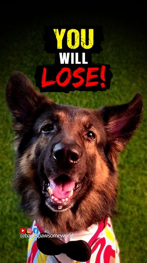 You Will Lose This Game Of Simonsays 😳😱🐾 #shorts #mindgame #simonsays
