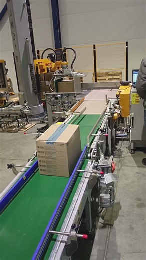 High-Efficiency Single Column Robot Palletizer | Dual-Case Handling for Cartons