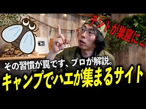 [If you don't know, you'll be in trouble] The surprising reason why your tent becomes a "fly nest...