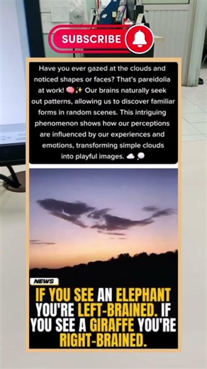 the human brain's tendency to assign meaning to visual stimuli. #shorts