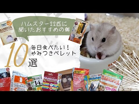 ハムスター22匹に聞いたおすすめの餌～毎日食べたい！やみつきペレット10選