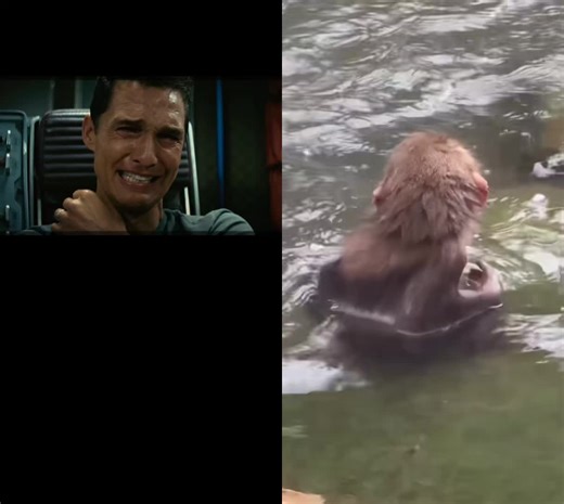 #duet with @luftrobag #greenscreen #punch