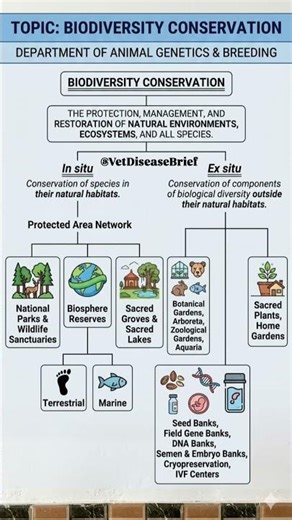 Biodiversity Conservation Explained: In Situ vs. Ex Situ | Vet Disease Brief