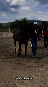 Puro Grado 1 Aterrizando 😮‍💨🔥. | Carreras de la Región Cd del Maiz. SLP
