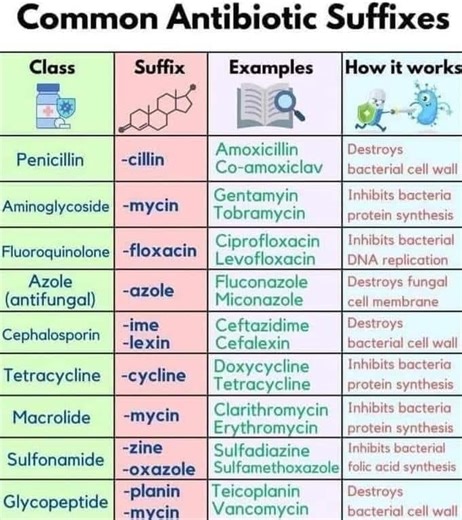 12K views · 165 reactions | #ANTIBIOTICS_SUFFIXES #CLASS #EXAMPLES #WORKS #홑홚황홀홙홪환홖황홞홤홣 #혼홃홎 | Animal Health Services - AHS. | Facebook