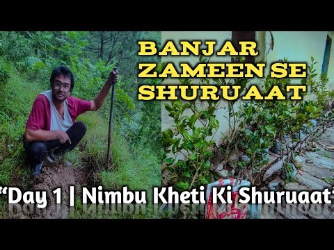 Starting lemon farming from barren land | Day 1 Vlog