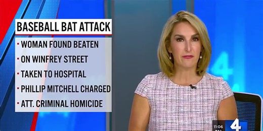 Man charged with attempted murder after woman severely injured in baseball bat attack