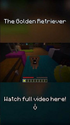 When a thief robs a house with a Golden Retriever🥀