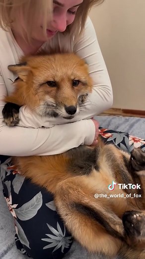 Sweety fox #handwashchallenge #japan #keşfetteyizzz #korea #zoommyface