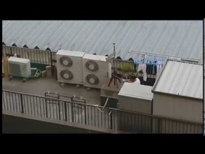 Miyazaki on looking out a window