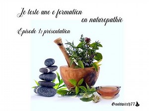 Je teste une e formation en naturopathie. Episode 1: cours de présentation