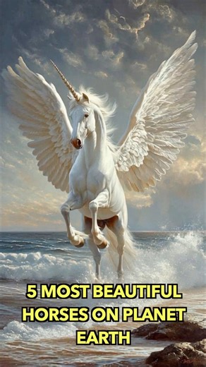 5 Most Beautiful Horses On Planet Earth | Engineering & Science